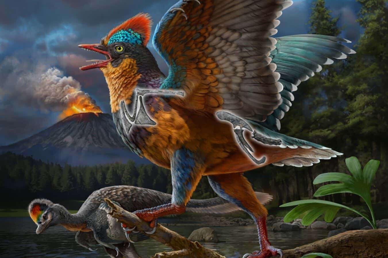 Quail-sized feathered dinosaur may be the earliest known bird