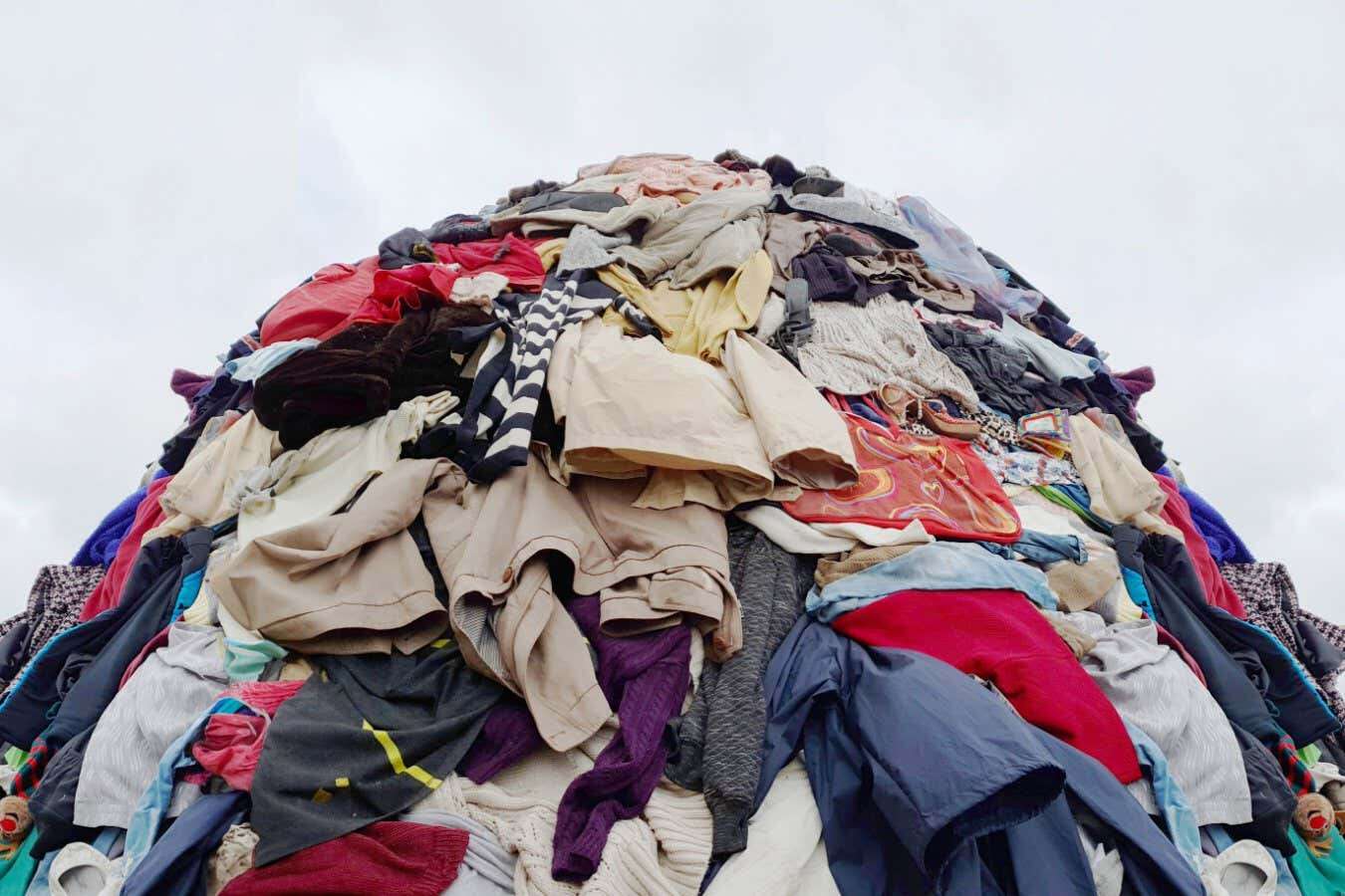 Engineered bacteria could break down unrecyclable nylon in clothes