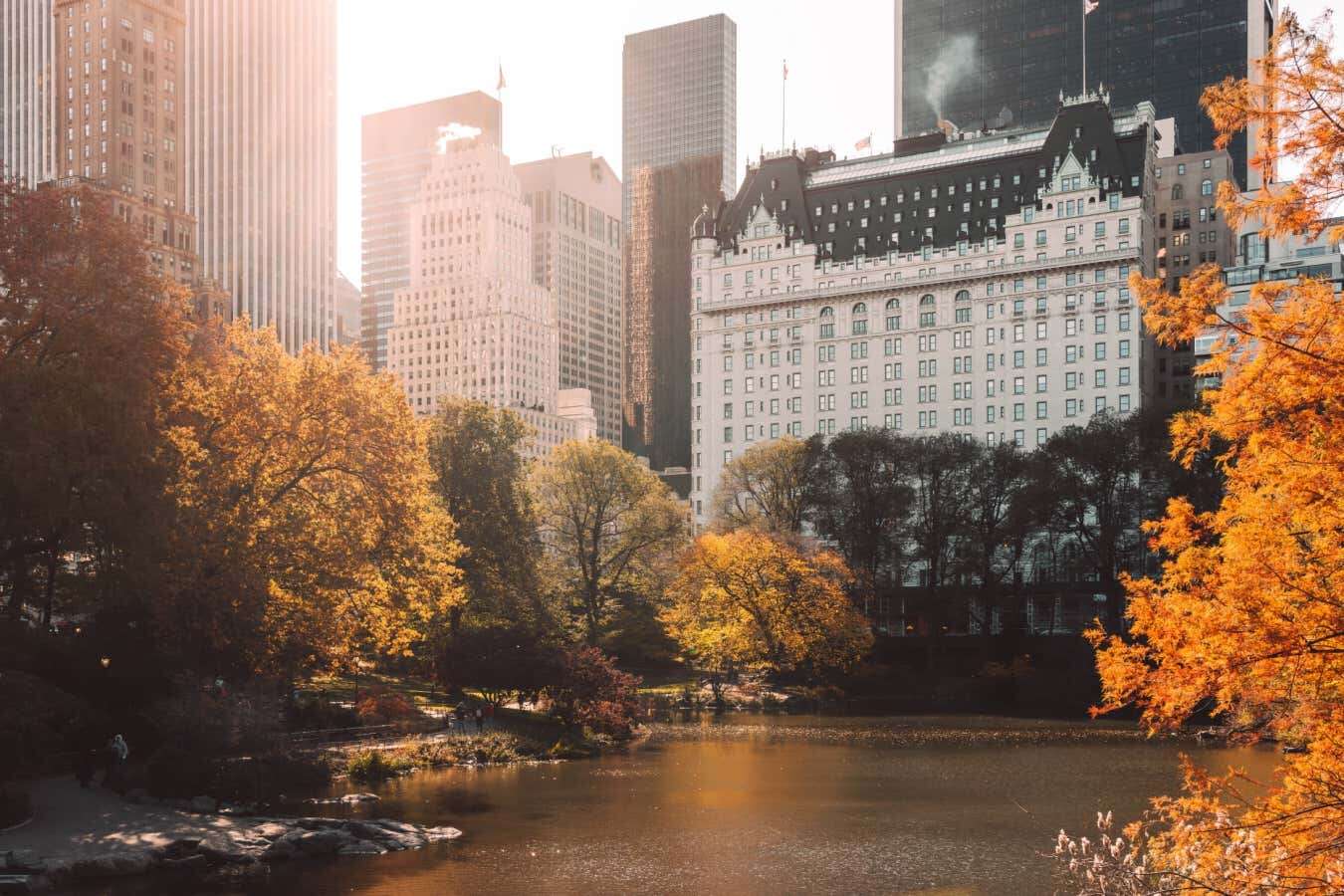 Google Street View helps map how 600,000 trees grow down to the limb