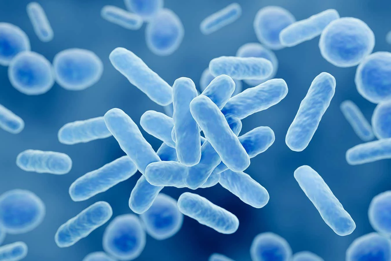 Probiotics helped reduce fatigue and memory loss from long covid