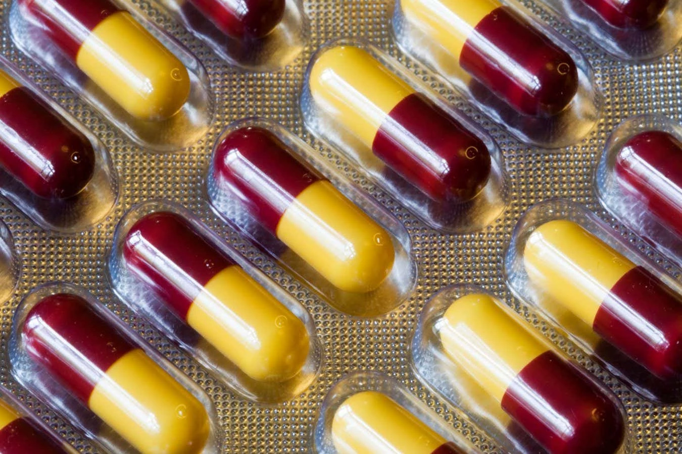 Antibiotics normally don’t increase the risk of autoimmune disorders
