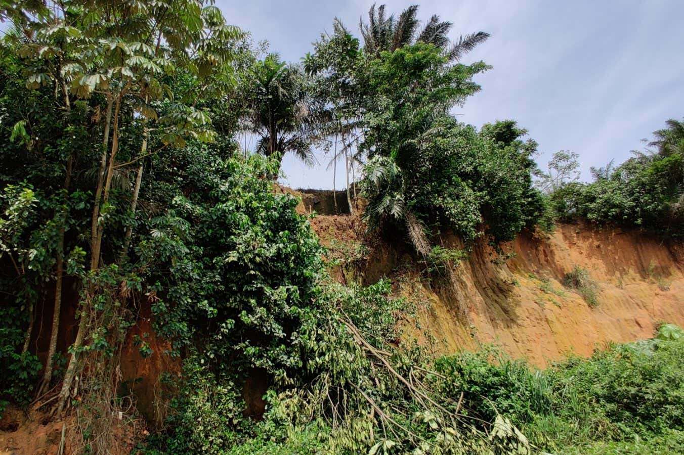 Humans were living in tropical forests surprisingly early