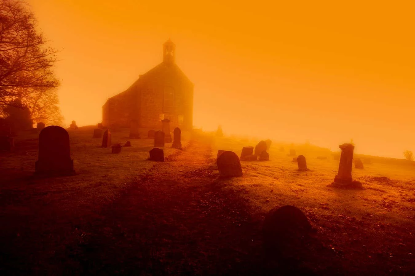 What were ancient humans thinking when they began to bury their dead?