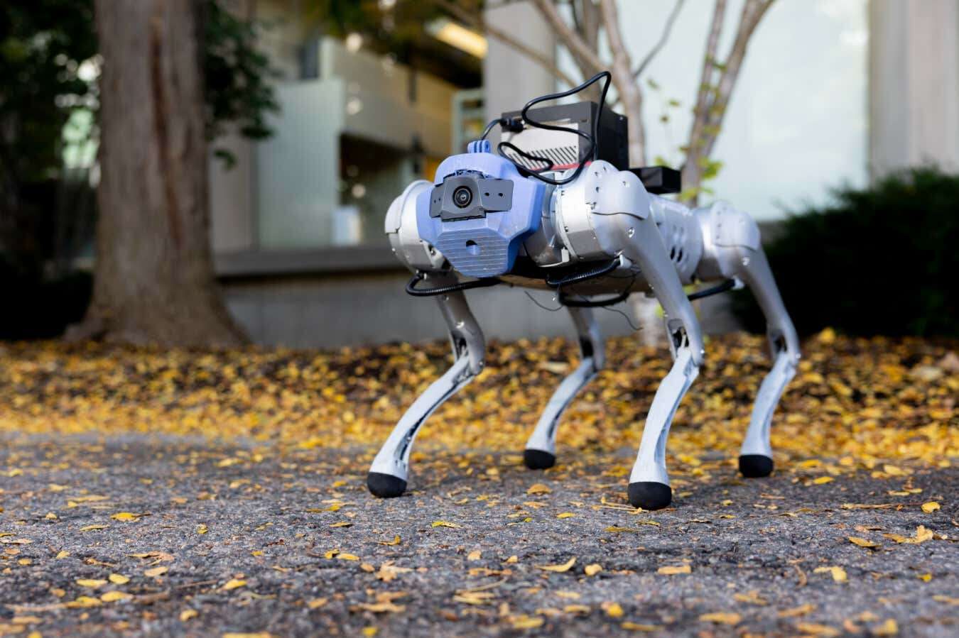 AI helps robot dogs navigate the real world