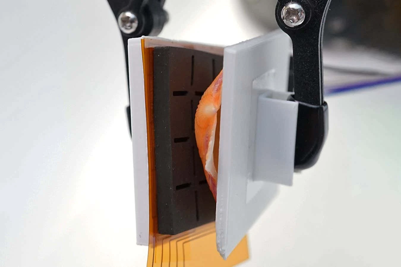 Robot with sense of touch grabs ocean trash without harming sea life