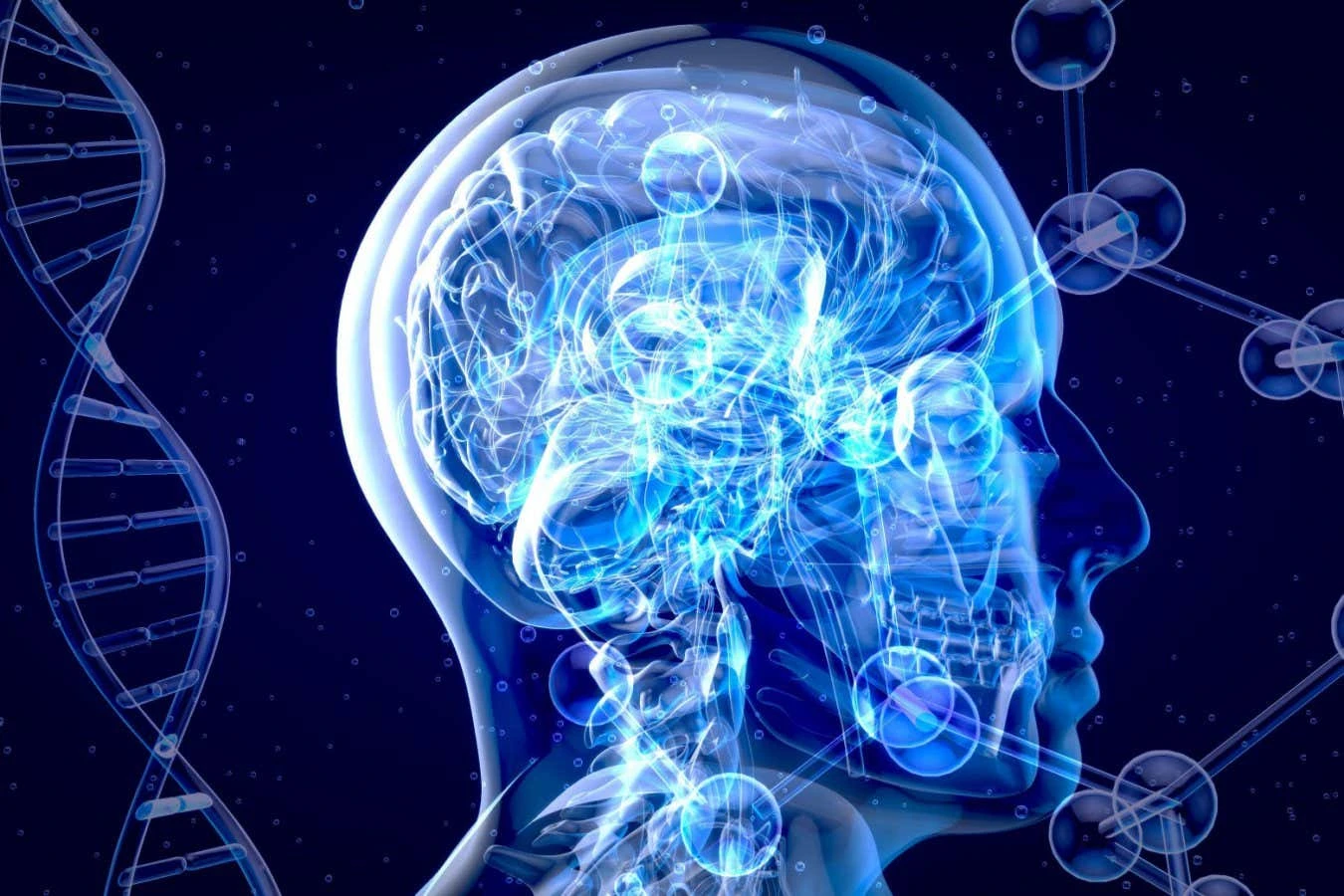 The 13 drugs and supplements that could slow brain ageing