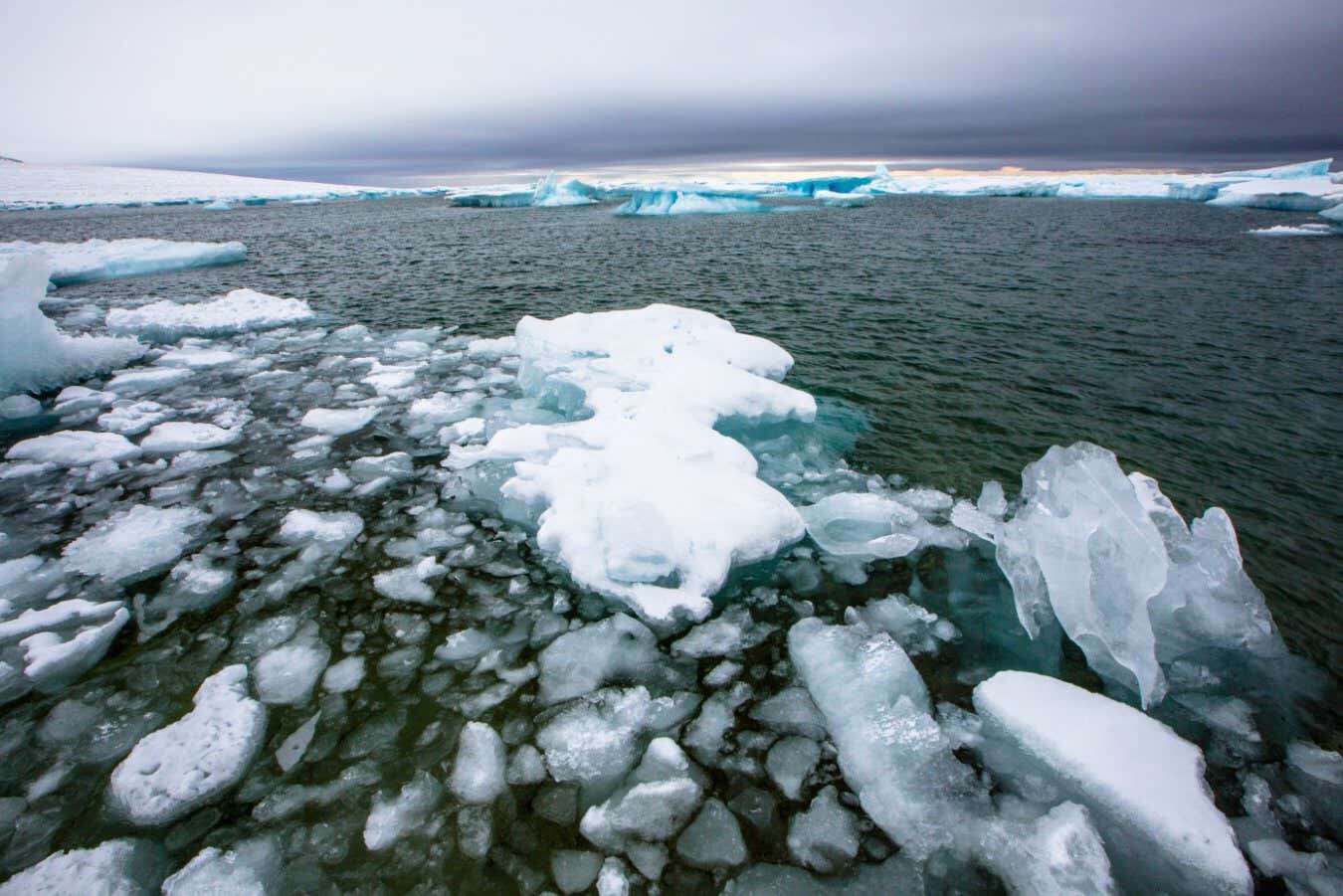 Global sea ice levels just hit a new record low