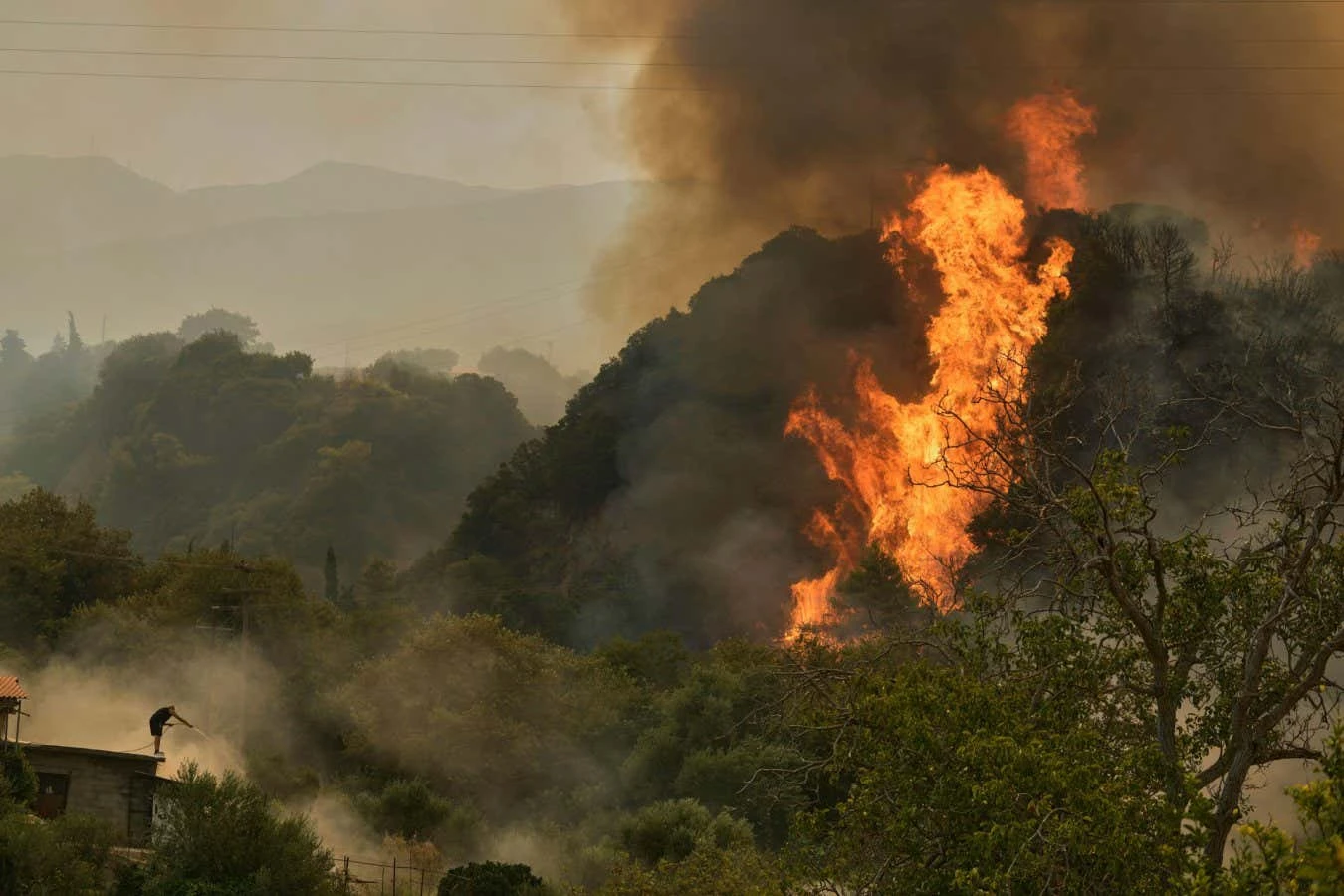 Earth's carbon sinks are being eroded by climate change feedback loops