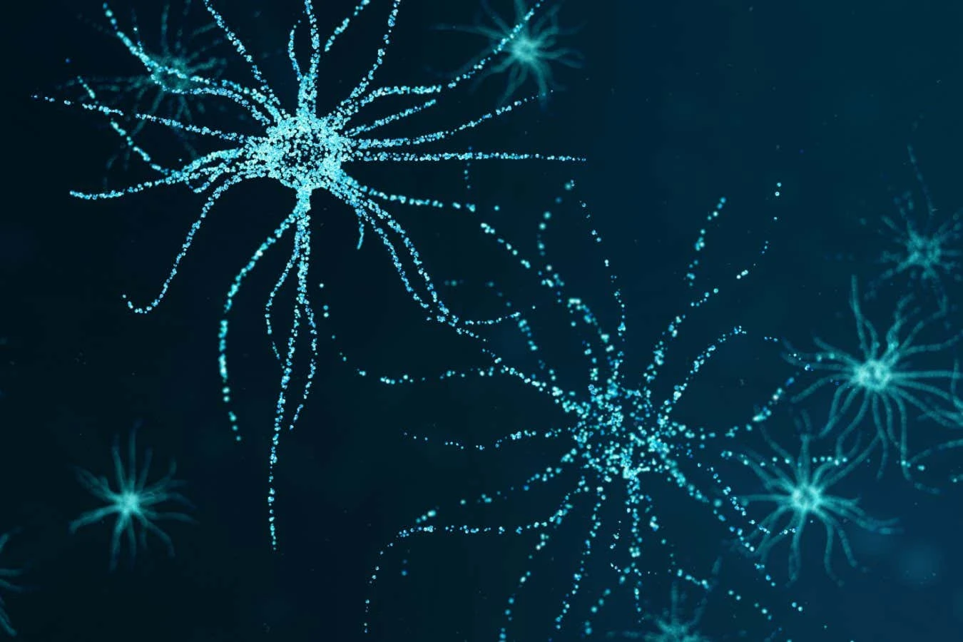 Brain cells that tell mice it's time to eat may also be in people