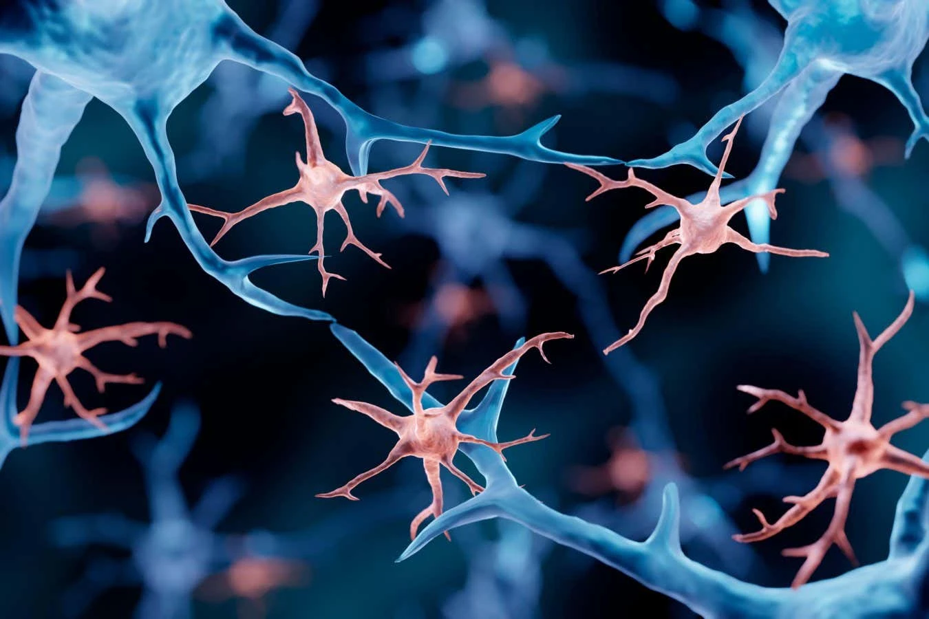Fatal genetic disorder treated by replacing the brain's immune cells