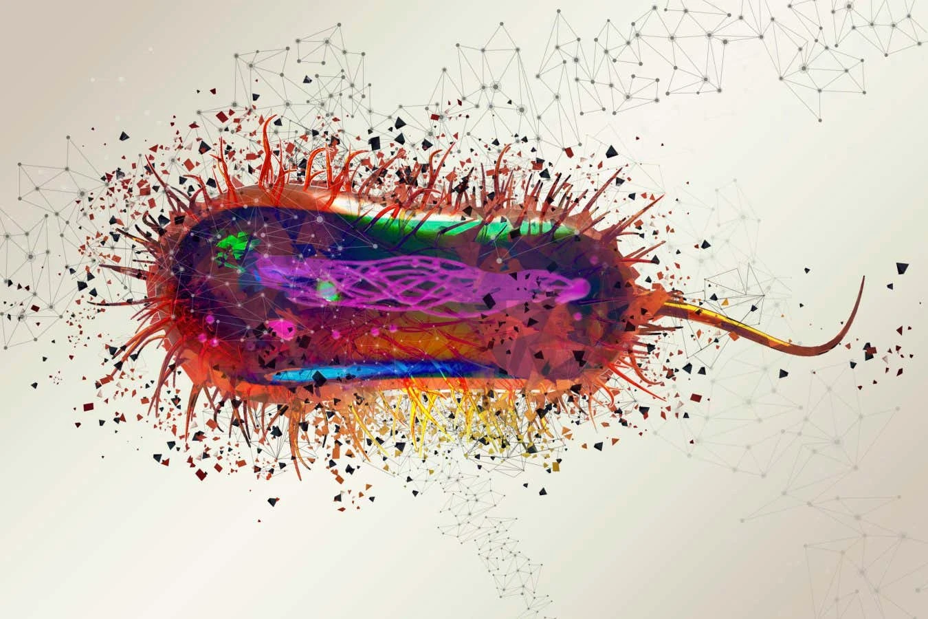 E. coli genome has been remade with 101,000 changes to its DNA