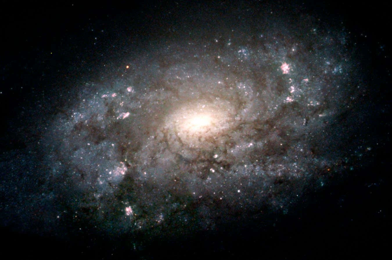 We may have finally solved cosmology's chicken-or-the-egg problem