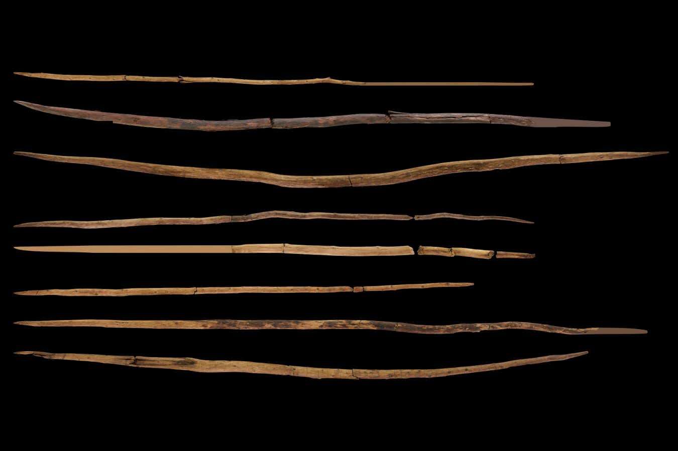 Ancient hunters may have used throwing spears 300,000 years ago