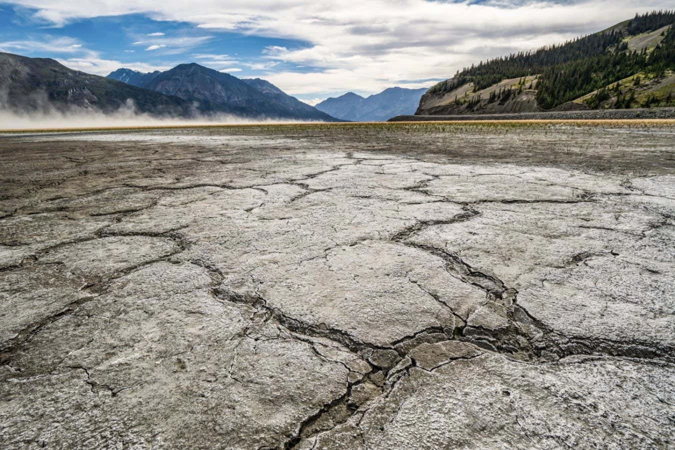 We are undergoing unprecedented loss of freshwater across the planet