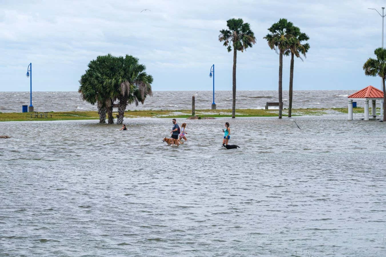 US coastal cities face higher 2050 flood risk because they are sinking