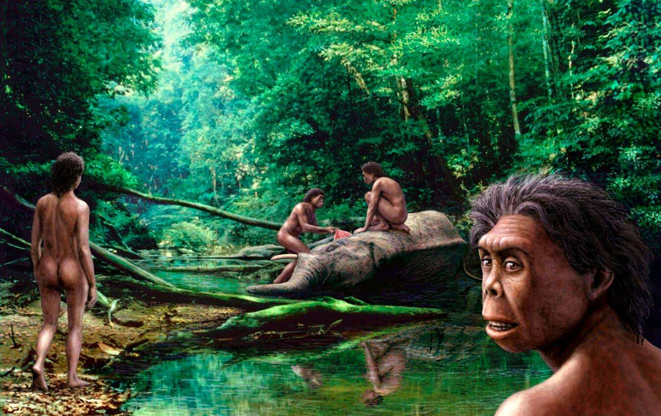 Climate change may have killed ancient 'hobbit' hominins