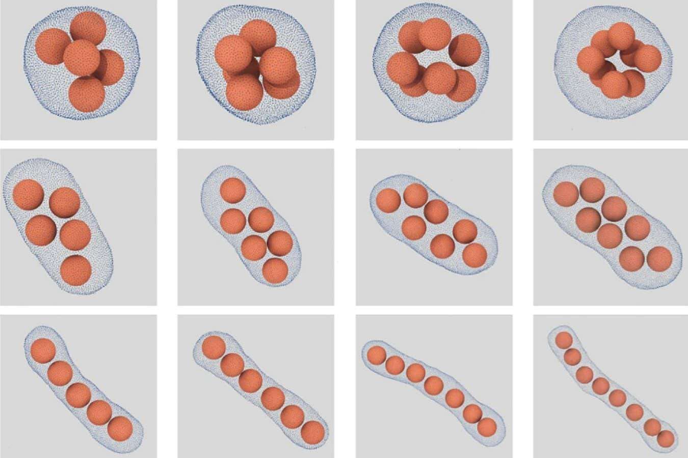 Tiny balls fit best inside a sausage, physicists confirm