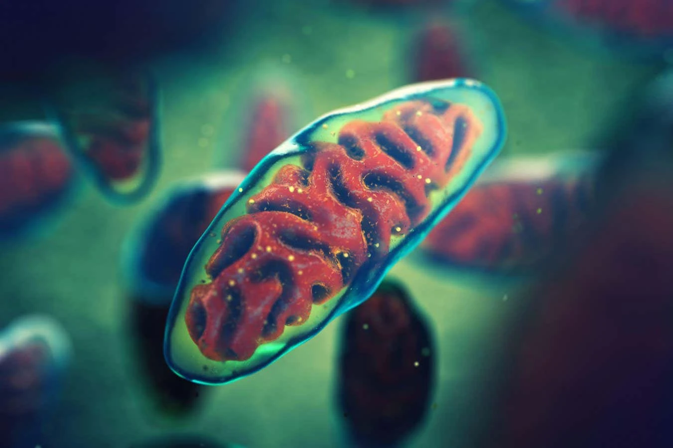Children conceived using mitochondria from a donor are now doing well