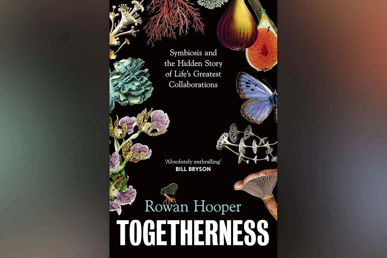 New Scientist recommends Togetherness, a radical new view of life