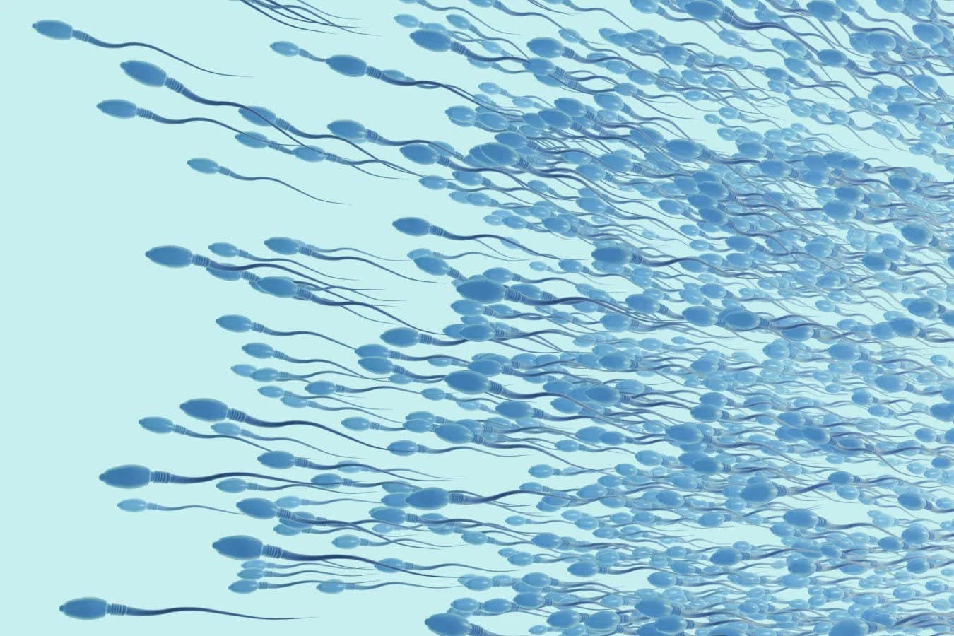 The laws of physics were broken in 2023 - by sperm