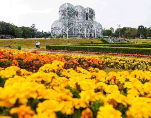 Ode Ã  primavera: 10 cidades floridas do Brasil que vocÃª precisa conhecer