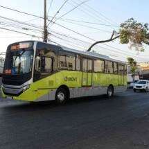 BH: saiba quais veÃ­culos podem transitar pela pista do Move