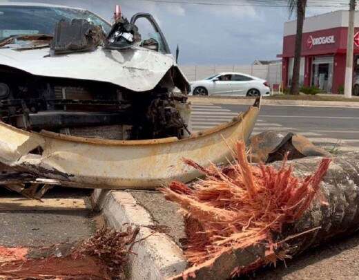 Motorista passa reto em cruzamento e arranca palmeira com o carro; assista