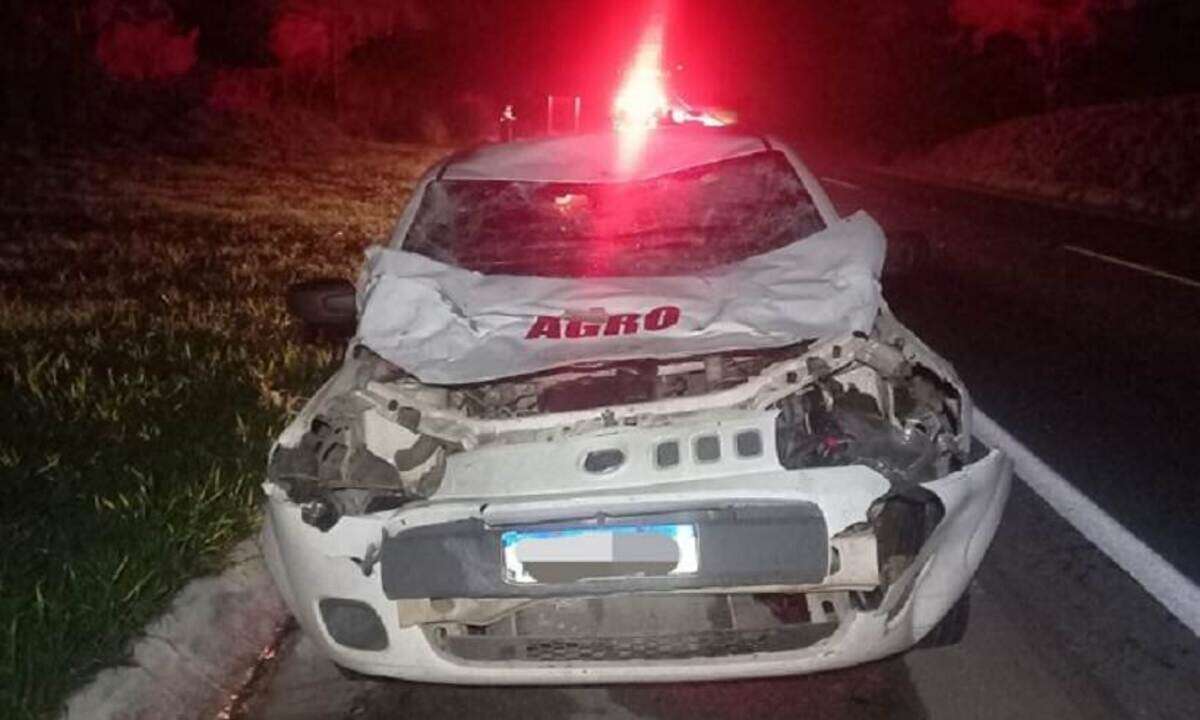 Motorista atropela boi na MG-050 e carro fica destruÃ­do