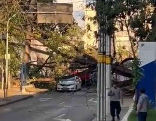 Ãrvore cai em carro e interdita rua em Belo Horizonte