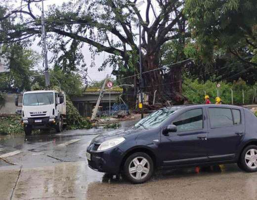 BH: 59 imÃ³veis ficam mais de 11 horas sem luz apÃ³s queda de Ã¡rvore