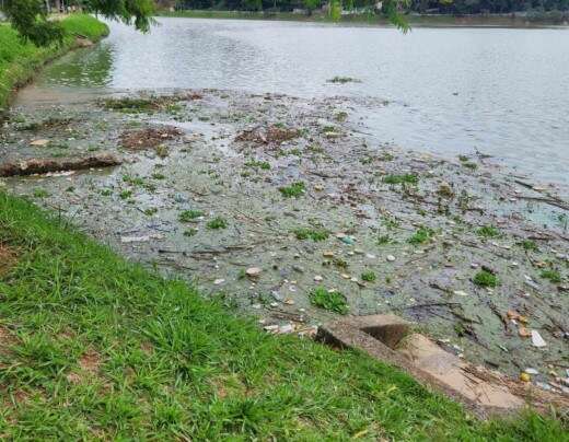 Lagoa da Pampulha Ã© novamente alvo de reclamaÃ§Ãµes por mau cheiro