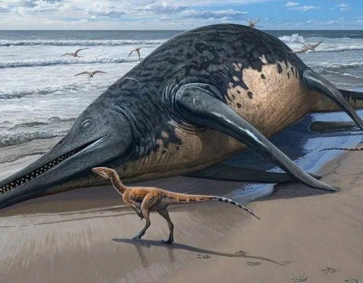 O fÃ³ssil de rÃ©ptil marinho gigante de 200 milhÃµes de anos