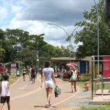 ExercÃ­cios fÃ­sicos ajudam a prevenir, tratar e se recuperar de cÃ¢ncer