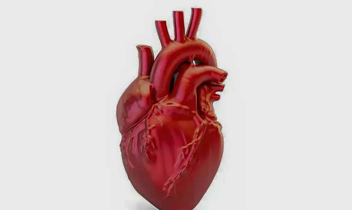 DoenÃ§as cardiovasculares matam 400 mil brasileiros por ano