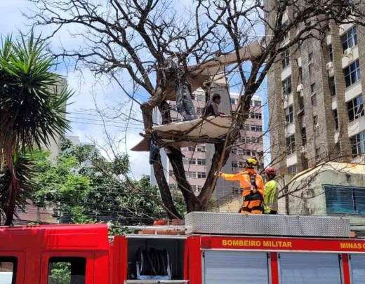 Bombeiros tentam tirar homem que fez 'casa' em Ã¡rvore em avenida de BH