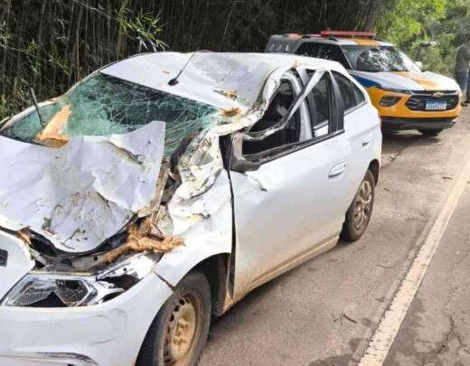 MG: Ã¡rvore de grande porte cai em rodovia e acerta carro que levava famÃ­lia