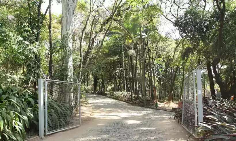 Mulher Ã© estuprada em parque de BH e homem foge nu pelo Anel RodoviÃ¡rio