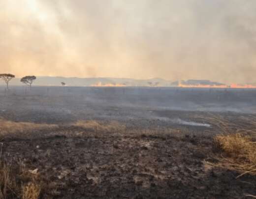 IncÃªndio queima 10 mil hectares do Parque da Chapada dos Veadeiros