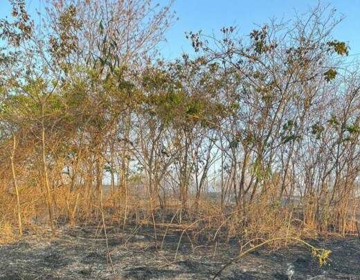 IncÃªndio ameaÃ§a Parque Estadual da Lapa Grande no Norte de Minas