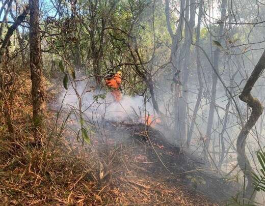 MG: incÃªndio no entorno do Parque Estadual do Ibitipoca Ã© controlado