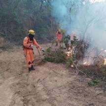 MG: bombeiros atendem a mais de 250 chamados de incÃªndio em 24 horas