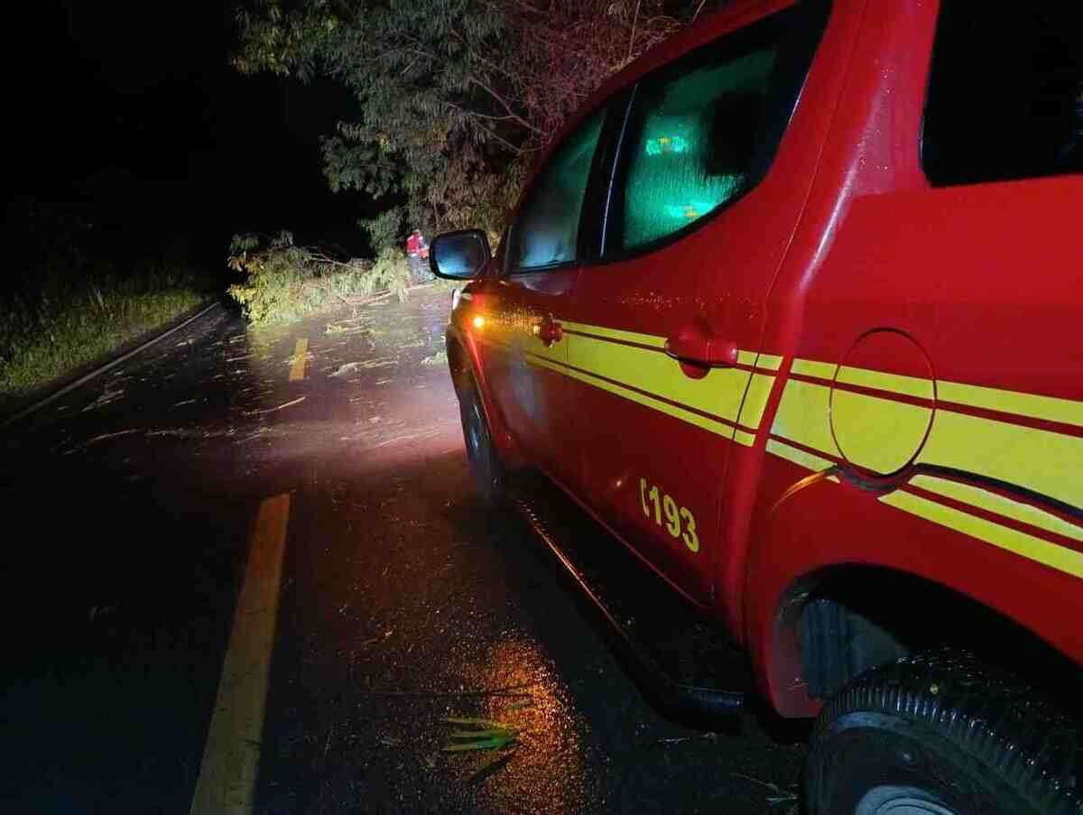 Bombeiros liberam a BR-354 no Centro-Oeste de Minas Gerais