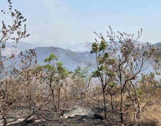 Prefeito sugere que moradores contratem caminhÃµes-pipa contra incÃªndios