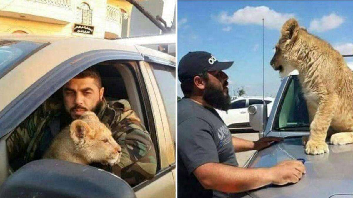 Ruthless soldier who fed enemies to pet lion executed