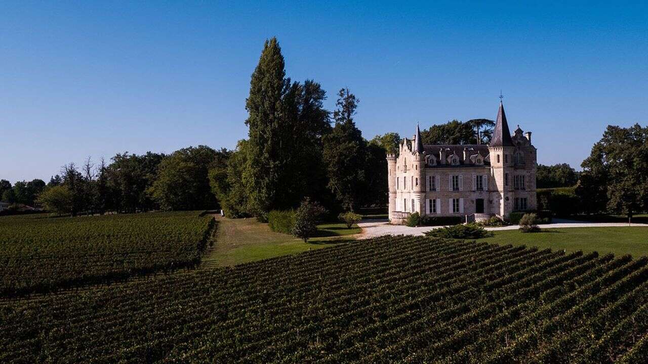 Vins : Haut-Bergey, le soliste de la biodynamie certifiée à Pessac