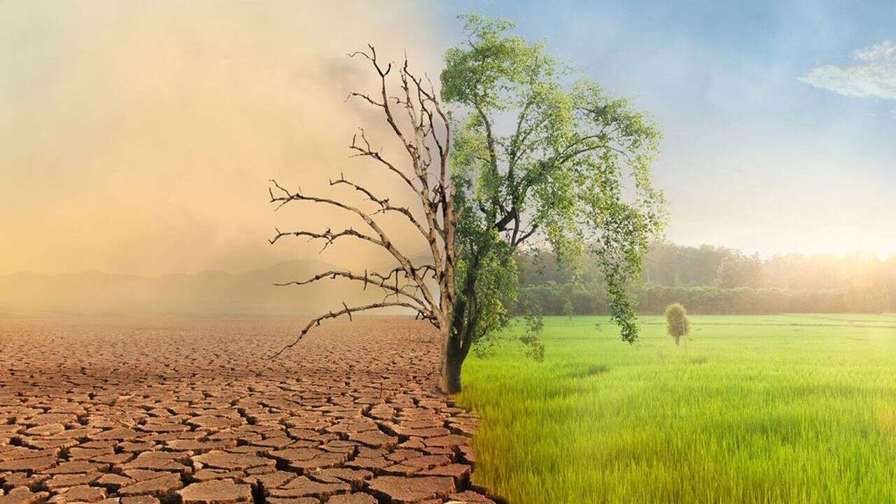 Réchauffement climatique : les « éléphants » et « l'écureuil »