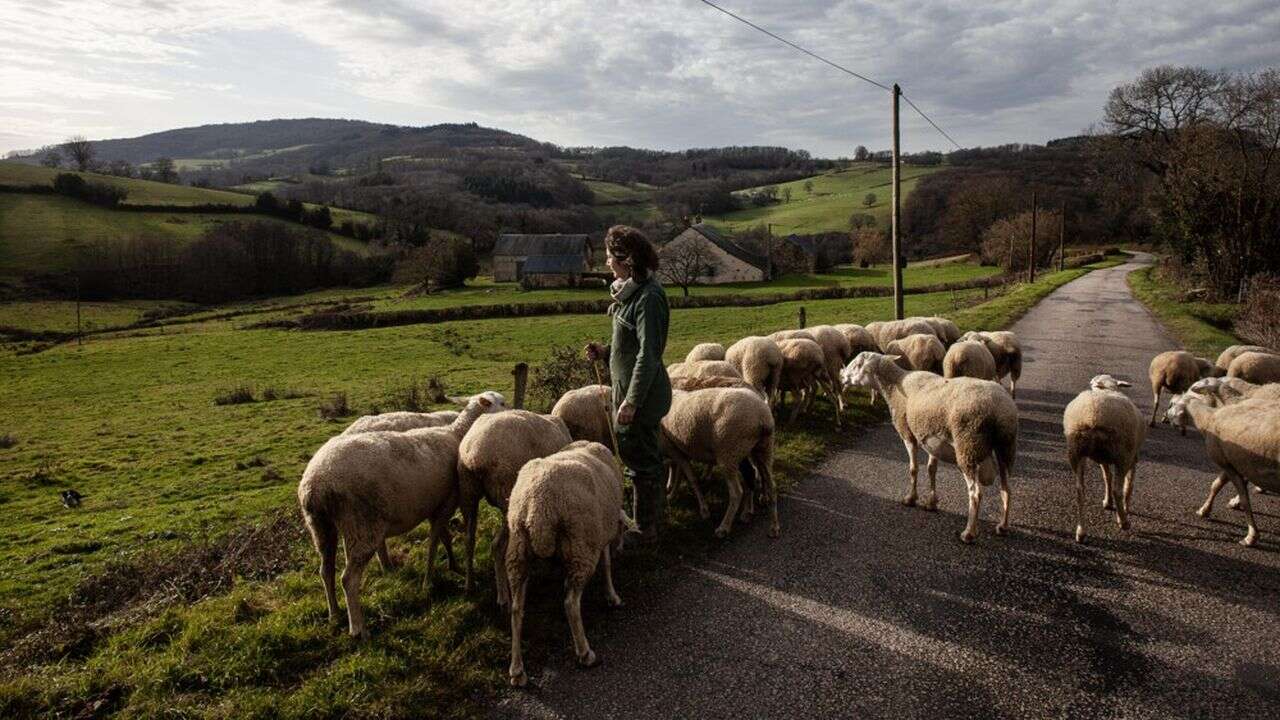 Jeune, reconvertie, passionnée : portrait robot de ces femmes qui vivent de l'agriculture