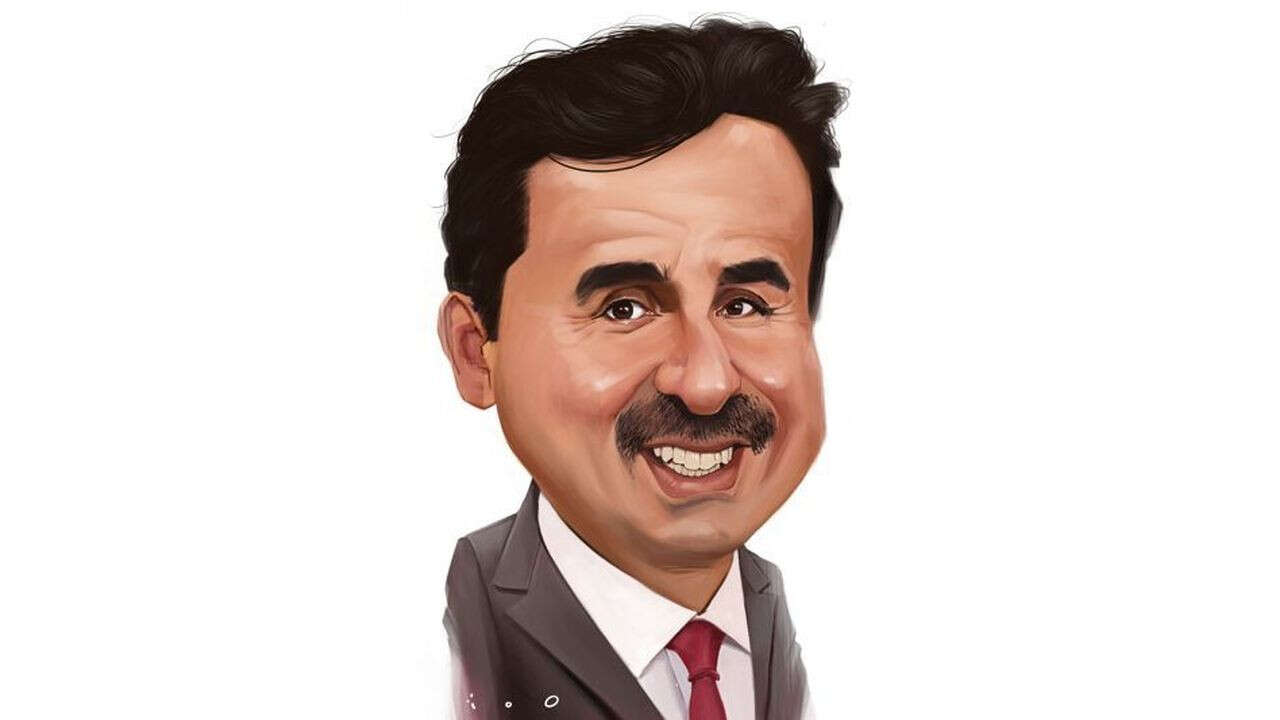 Tamim ben Hamad Al Thani, le chaînon manquant