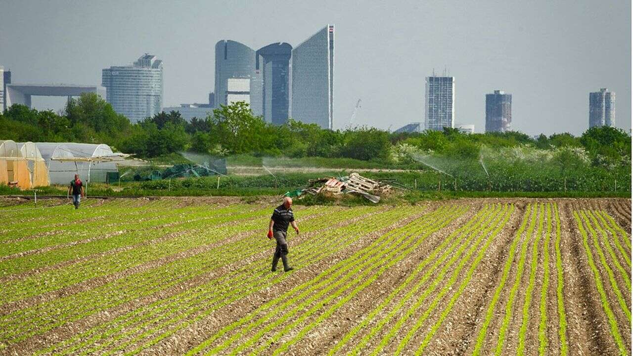 Aménagement de l'Ile-de-France : le nouveau visage de la région en débat