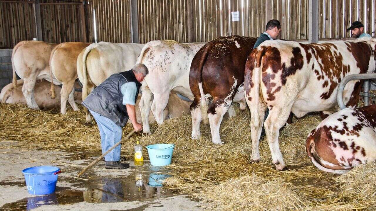 Alsace : les chambres consulaires gardent un peu d'optimisme… malgré tout